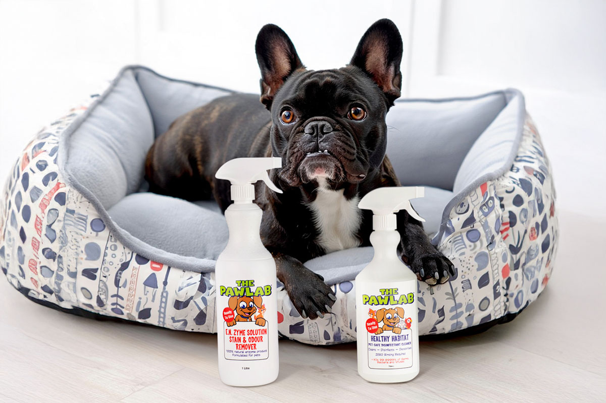 AI-Generated Pet Product Photography for The Paw Lab – High-Quality, Cost-Effective Campaign Images
