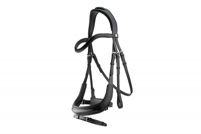 Horse Bridle