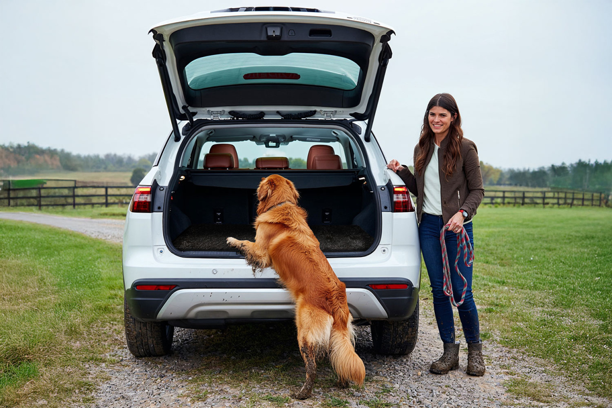 Car Boot Protector Mat – Muddy Dog Adventure
